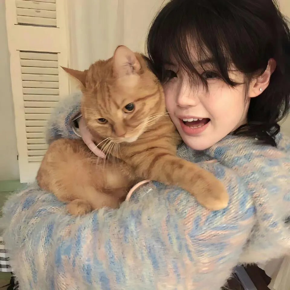 总裁的技师替身